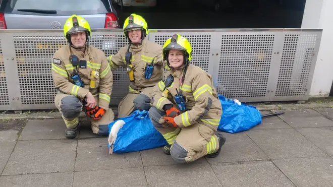 LFB used bags to safely bring the swan down