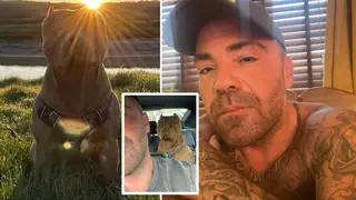 The dog's owner had warned officers that the XL Bully-type mutt would attack anyone who went near it, which led police to get a warrant for the address and seize the dog.