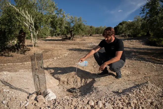 The drought has worsened in Andalucia