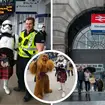 Train diverted after passenger dressed as Star Wars character reported to police for carrying firearm