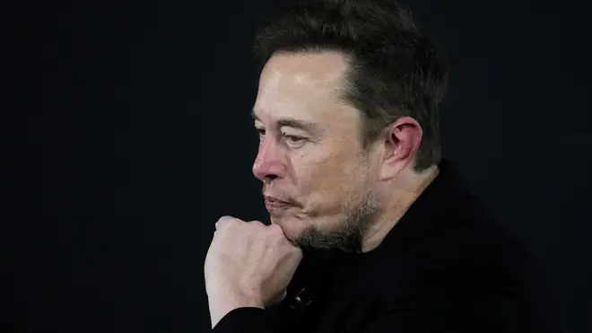 Elon Musk in 2024