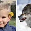 French toddler Emile Soleil may have been eaten by a pack of wolves following discovery of 2-year-old's skull