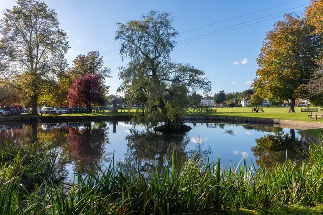 The east Surrey village boasts the beautiful Godstone Green pond