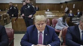 Donald Trump in court