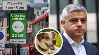 A motorcyclist has slammed TfL for leaving him thousands of pounds of debt after a dog ate letters informing him of ULEZ fines.