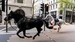 Horses on the loose in London this morning
