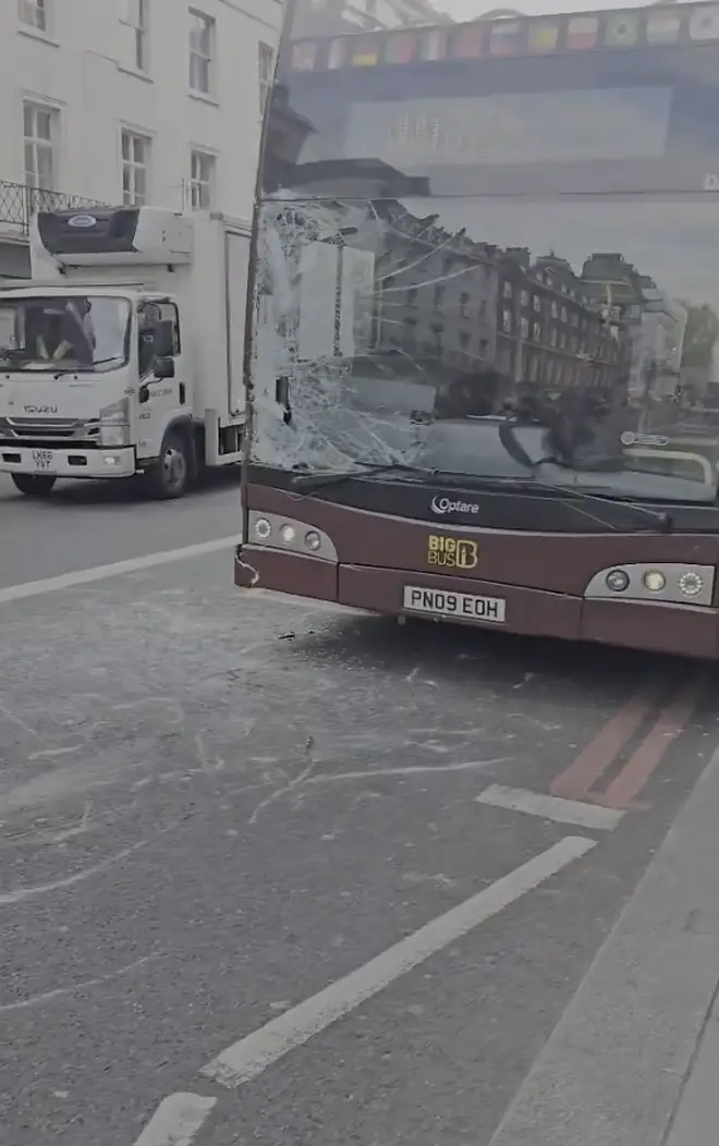 The grey horse smashed through the front of a tourist bus