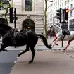 Two of the Household Cavalry horses are 'in serious condition' and there are concerns they may never fully recover