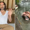 Russell Brand has posted a new picture of him hugging Bear Grylls in the Thames