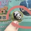 The zoo in Tiangzhou has been mocked over its exhibit