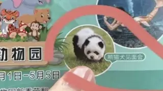 The zoo in Tiangzhou has been mocked over its exhibit