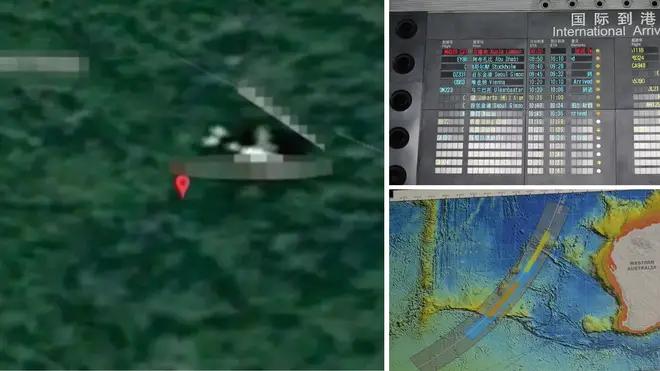 A technology expert claims to have found the wreckage of the missing Malaysia Airlines flight MH370.