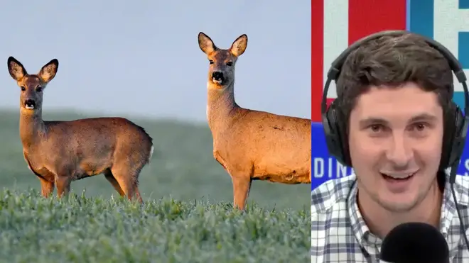 The caller spoke to Tom Swarbrick fresh from killing a deer