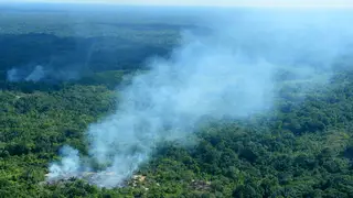 Smoke rises from the forest in a region of the Amazon near the Colombian border. Brazil has the worst forest fires in years.