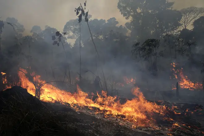 A fire burns along the road to Jacunda National Forest, near the city of Porto Velho in the Vila Nova Samuel region which is part of Brazil's Amazon.