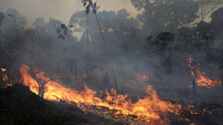 A fire burns along the road to Jacunda National Forest, near the city of Porto Velho in the Vila Nova Samuel region which is part of Brazil's Amazon.