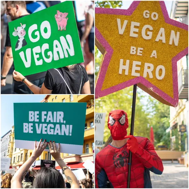A Go Vegan protest