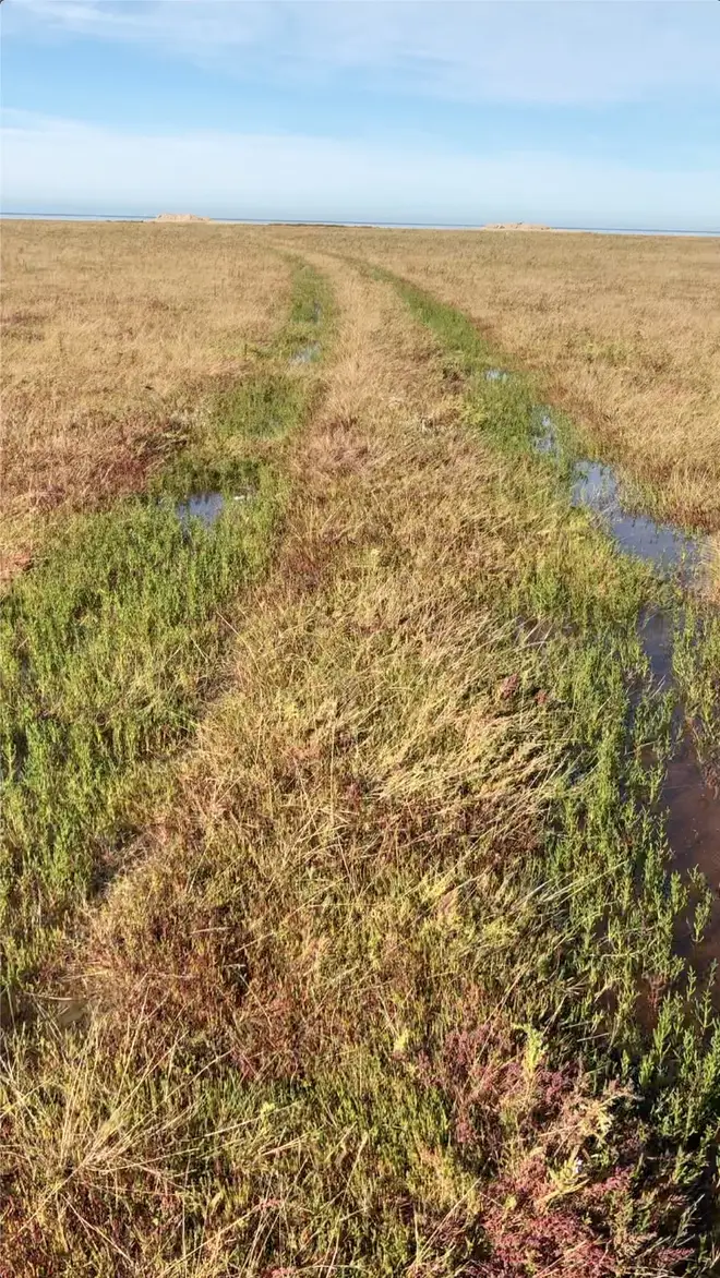 Tyre tracks show where vehicles drop off the boats on mudflats in northern France