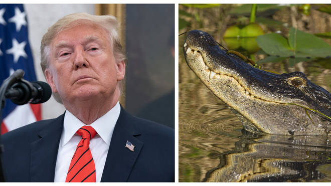 Donald Trump allegedly wanted to fill a moat with alligators around his border wall