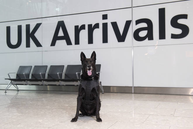 Hurricane travelled with his adoptive dad Officer Marshall Mirarchi to the UK