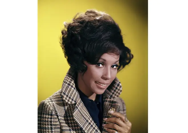 Diahann Carroll played Julia Baker, a nurse whose husband had been killed in Vietnam