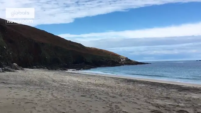 The species have been spotted on a Cornwall beach