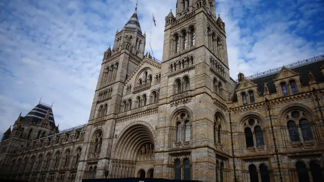 The Natural History Museum was one of those examined