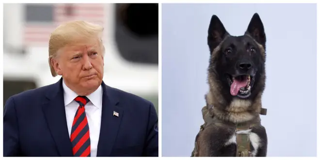 President Donald Trump and the unnamed US military dog