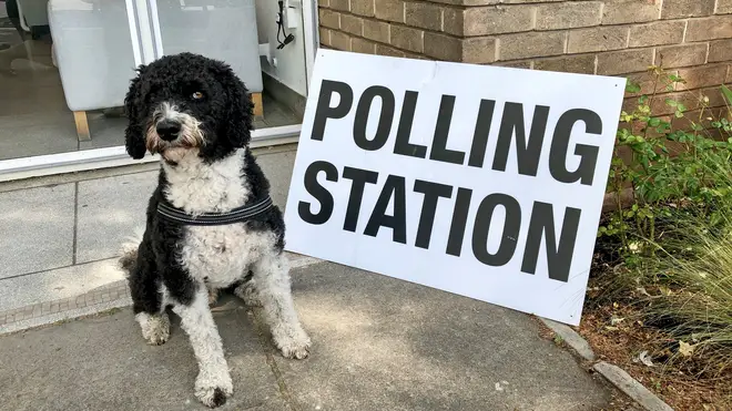 On 12th December, we'll see more Dogs At Polling Stations