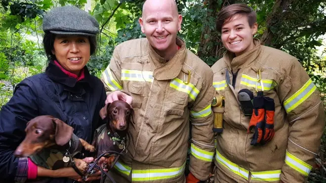 Linus the dachshund got stuck while on a walk in Wanstead Park