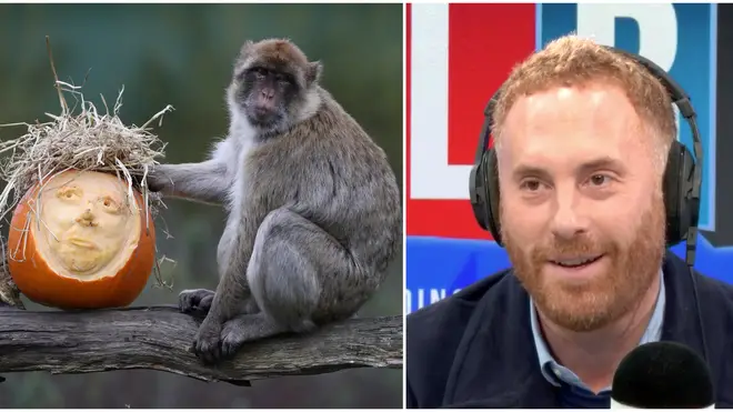 Labour Caller Complains Tory Constituents Would Vote For "A Monkey In A Blue Suit"