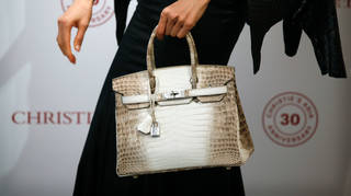 The Hermes handbag sold at auction