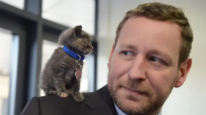 Former Conservative culture minister Ed Vaizey