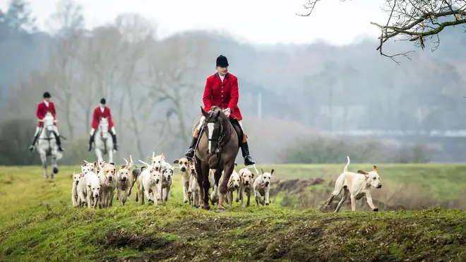 Hunts now take place but dogs are no longer allowed to kill foxes