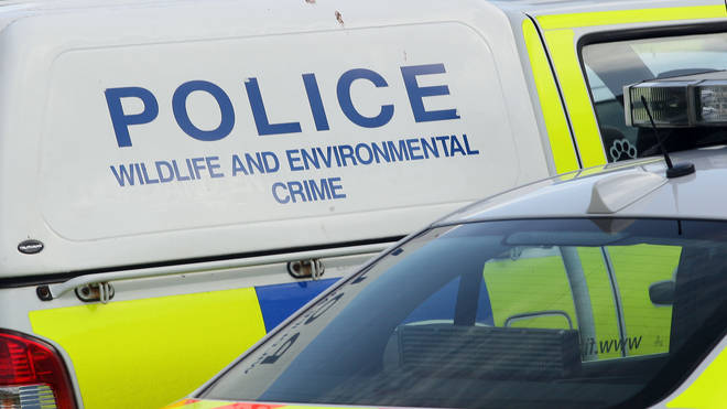 Wildlife Crime officers would see a boost