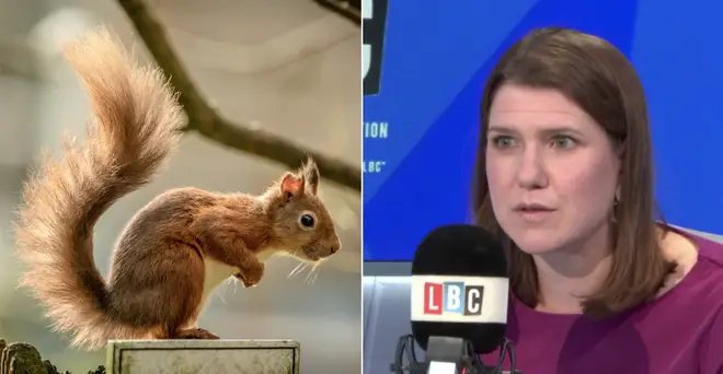 Jo Swinson responded to the viral squirrel story